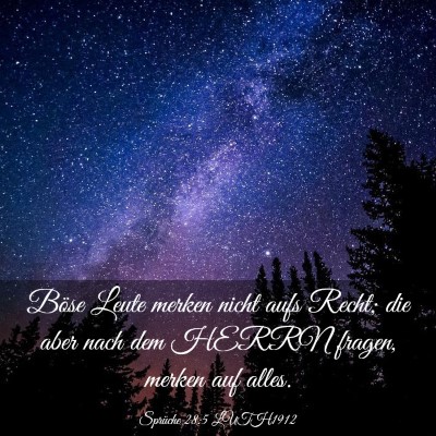 Picture 03 - Sprüche 28:5 LUTH1912 - Böse Leute merken nicht aufs Recht; die aber - Bible Verse Picture