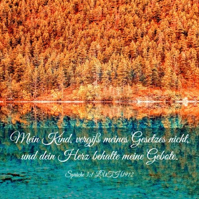 Picture 03 - Sprüche 3:1 LUTH1912 - Mein Kind, vergiß meines Gesetzes nicht, und - Bible Verse Picture