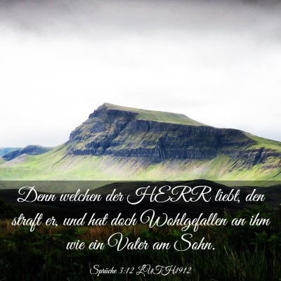 Picture 03 - Sprüche 3:12 LUTH1912 - Denn welchen der HERR liebt, den straft er, und - Bible Verse Picture