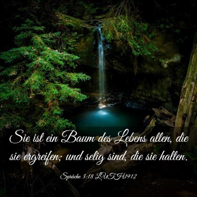Picture 03 - Sprüche 3:18 LUTH1912 - Sie ist ein Baum des Lebens allen, die sie - Bible Verse Picture