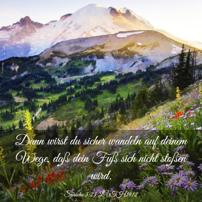 Picture 03 - Sprüche 3:23 LUTH1912 - Dann wirst du sicher wandeln auf deinem Wege, - Bible Verse Picture