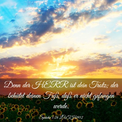 Picture 03 - Sprüche 3:26 LUTH1912 - Denn der HERR ist dein Trotz; der behütet deinen - Bible Verse Picture