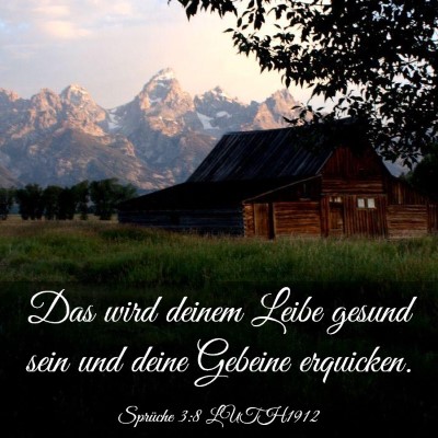 Picture 03 - Sprüche 3:8 LUTH1912 - Das wird deinem Leibe gesund sein und deine - Bible Verse Picture