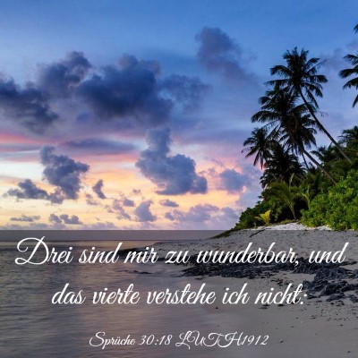 Picture 03 - Sprüche 30:18 LUTH1912 - Drei sind mir zu wunderbar, und das vierte - Bible Verse Picture