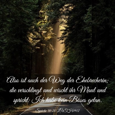 Picture 03 - Sprüche 30:20 LUTH1912 - Also ist auch der Weg der Ehebrecherin; die - Bible Verse Picture