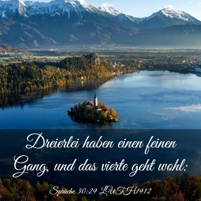Picture 03 - Sprüche 30:29 LUTH1912 - Dreierlei haben einen feinen Gang, und das vierte - Bible Verse Picture