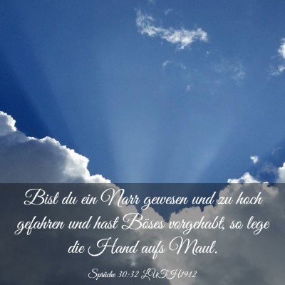 Picture 03 - Sprüche 30:32 LUTH1912 - Bist du ein Narr gewesen und zu hoch gefahren und - Bible Verse Picture