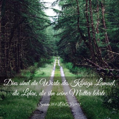 Picture 03 - Sprüche 31:1 LUTH1912 - Dies sind die Worte des Königs Lamuel, die - Bible Verse Picture