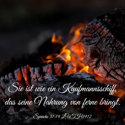Picture 03 - Sprüche 31:14 LUTH1912 - Sie ist wie ein Kaufmannsschiff, das seine - Bible Verse Picture