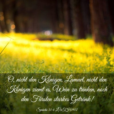 Picture 03 - Sprüche 31:4 LUTH1912 - O, nicht den Königen, Lamuel, nicht den Königen - Bible Verse Picture