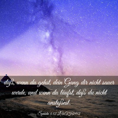 Picture 03 - Sprüche 4:12 LUTH1912 - daß, wenn du gehst, dein Gang dir nicht sauer - Bible Verse Picture