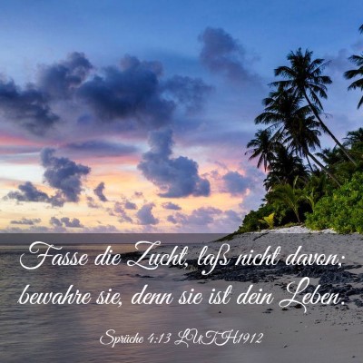 Picture 03 - Sprüche 4:13 LUTH1912 - Fasse die Zucht, laß nicht davon; bewahre sie, - Bible Verse Picture