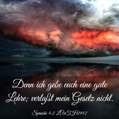 Picture 03 - Sprüche 4:2 LUTH1912 - Denn ich gebe euch eine gute Lehre; verlaßt mein - Bible Verse Picture