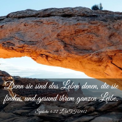 Picture 03 - Sprüche 4:22 LUTH1912 - Denn sie sind das Leben denen, die sie finden, - Bible Verse Picture
