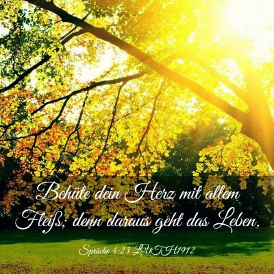 Picture 03 - Sprüche 4:23 LUTH1912 - Behüte dein Herz mit allem Fleiß; denn daraus - Bible Verse Picture