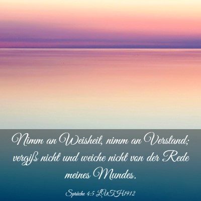 Picture 03 - Sprüche 4:5 LUTH1912 - Nimm an Weisheit, nimm an Verstand; vergiß nicht - Bible Verse Picture
