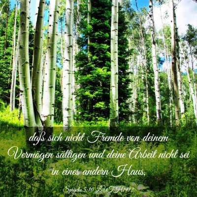 Picture 03 - Sprüche 5:10 LUTH1912 - daß sich nicht Fremde von deinem Vermögen - Bible Verse Picture