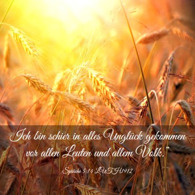 Picture 03 - Sprüche 5:14 LUTH1912 - Ich bin schier in alles Unglück gekommen vor - Bible Verse Picture