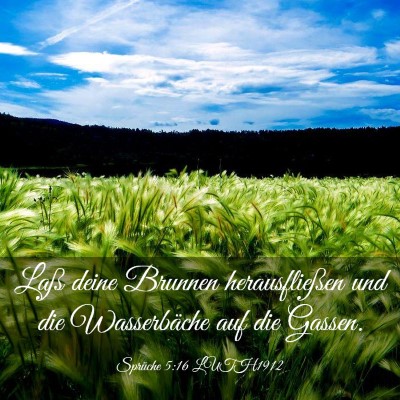 Picture 03 - Sprüche 5:16 LUTH1912 - Laß deine Brunnen herausfließen und die - Bible Verse Picture