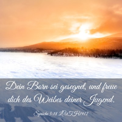 Picture 03 - Sprüche 5:18 LUTH1912 - Dein Born sei gesegnet, und freue dich des Weibes - Bible Verse Picture