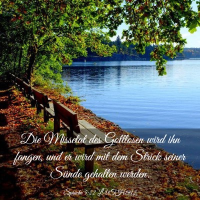 Picture 03 - Sprüche 5:22 LUTH1912 - Die Missetat des Gottlosen wird ihn fangen, und - Bible Verse Picture