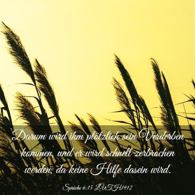 Picture 03 - Sprüche 6:15 LUTH1912 - Darum wird ihm plötzlich sein Verderben kommen, - Bible Verse Picture