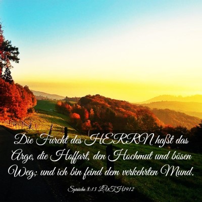 Picture 03 - Sprüche 8:13 LUTH1912 - Die Furcht des HERRN haßt das Arge, die Hoffart, - Bible Verse Picture