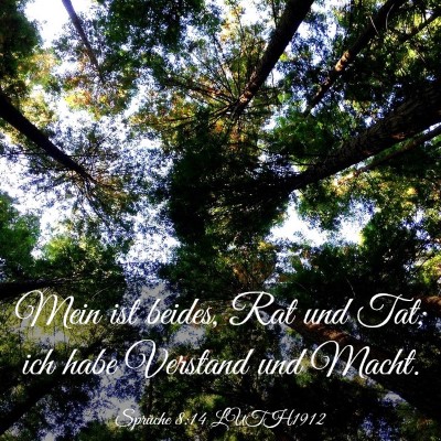 Picture 03 - Sprüche 8:14 LUTH1912 - Mein ist beides, Rat und Tat; ich habe Verstand - Bible Verse Picture