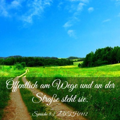 Picture 03 - Sprüche 8:2 LUTH1912 - Öffentlich am Wege und an der Straße steht - Bible Verse Picture