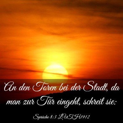 Picture 03 - Sprüche 8:3 LUTH1912 - An den Toren bei der Stadt, da man zur Tür - Bible Verse Picture