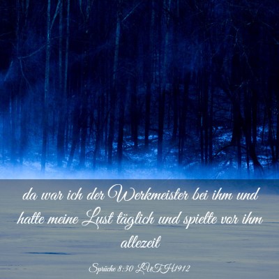 Picture 03 - Sprüche 8:30 LUTH1912 - da war ich der Werkmeister bei ihm und hatte - Bible Verse Picture