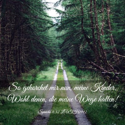 Picture 03 - Sprüche 8:32 LUTH1912 - So gehorchet mir nun, meine Kinder. Wohl denen, - Bible Verse Picture