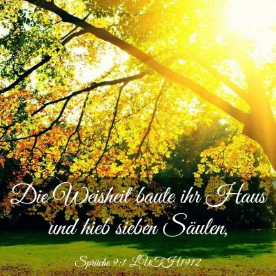 Picture 03 - Sprüche 9:1 LUTH1912 - Die Weisheit baute ihr Haus und hieb sieben - Bible Verse Picture