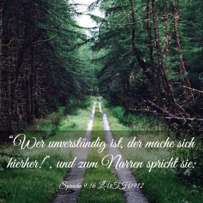 Picture 03 - Sprüche 9:16 LUTH1912 - “Wer unverständig ist, der mache sich - Bible Verse Picture
