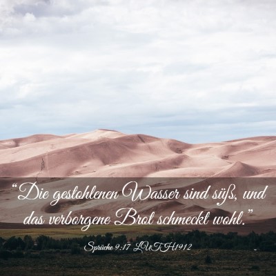 Picture 03 - Sprüche 9:17 LUTH1912 - “Die gestohlenen Wasser sind süß, und das - Bible Verse Picture