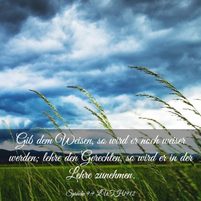 Picture 03 - Sprüche 9:9 LUTH1912 - Gib dem Weisen, so wird er noch weiser werden; - Bible Verse Picture