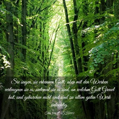 Picture 03 - Titus 1:16 LUTH1912 - Sie sagen, sie erkennen Gott; aber mit den Werken - Bible Verse Picture