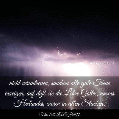 Picture 03 - Titus 2:10 LUTH1912 - nicht veruntreuen, sondern alle gute Treue - Bible Verse Picture