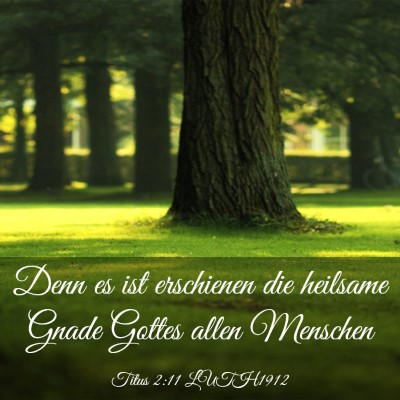 Picture 03 - Titus 2:11 LUTH1912 - Denn es ist erschienen die heilsame Gnade Gottes - Bible Verse Picture