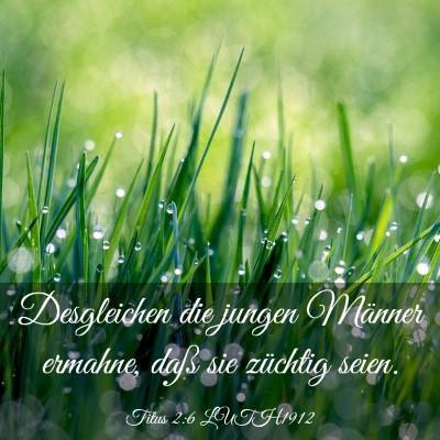 Picture 03 - Titus 2:6 LUTH1912 - Desgleichen die jungen Männer ermahne, daß sie - Bible Verse Picture