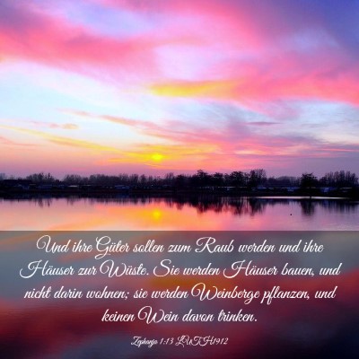 Picture 03 - Zephanja 1:13 LUTH1912 - Und ihre Güter sollen zum Raub werden und ihre - Bible Verse Picture