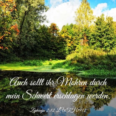 Picture 03 - Zephanja 2:12 LUTH1912 - Auch sollt ihr Mohren durch mein Schwert - Bible Verse Picture