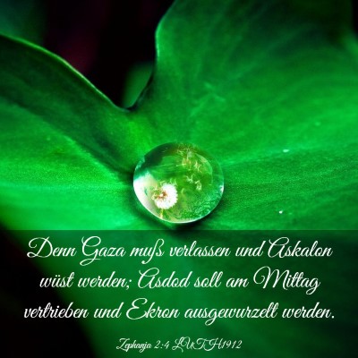 Picture 03 - Zephanja 2:4 LUTH1912 - Denn Gaza muß verlassen und Askalon wüst - Bible Verse Picture