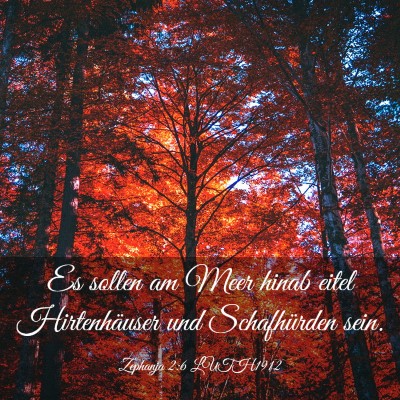 Picture 03 - Zephanja 2:6 LUTH1912 - Es sollen am Meer hinab eitel Hirtenhäuser und - Bible Verse Picture