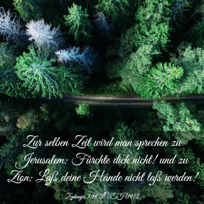 Picture 03 - Zephanja 3:16 LUTH1912 - Zur selben Zeit wird man sprechen zu Jerusalem: - Bible Verse Picture