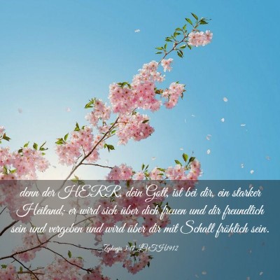 Picture 03 - Zephanja 3:17 LUTH1912 - denn der HERR, dein Gott, ist bei dir, ein - Bible Verse Picture