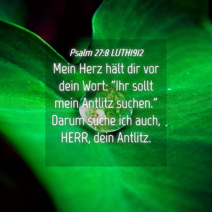 Psalm 27:8 LUTH1912 - Mein Herz hält dir vor dein Wort: “Ihr sollt