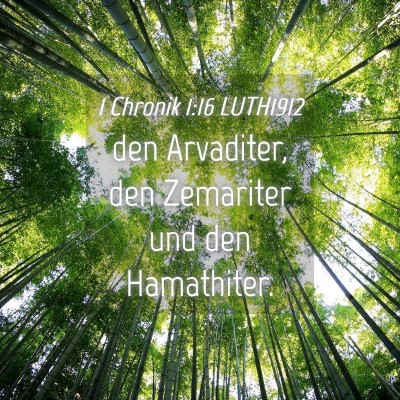 Picture 04 - 1 Chronik 1:16 LUTH1912 - den Arvaditer, den Zemariter und den - Bible Verse Picture