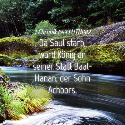Picture 04 - 1 Chronik 1:49 LUTH1912 - Da Saul starb, ward König an seiner Statt - Bible Verse Picture
