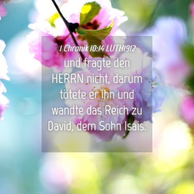 Picture 04 - 1 Chronik 10:14 LUTH1912 - und fragte den HERRN nicht, darum tötete er ihn - Bible Verse Picture